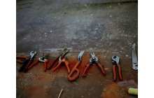 Jim Dine - My Tools